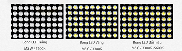 Godox LED1000 C-Y-W có 3 phiên bản bóng đèn khác nhau